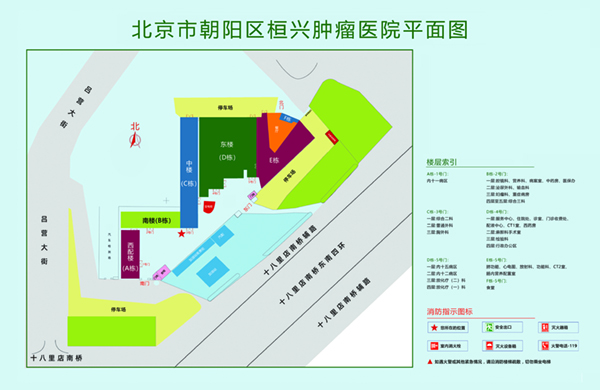 大逼逼黄片北京市朝阳区桓兴肿瘤医院平面图